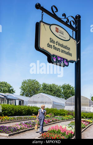 Quebec Kanada, Universite Laval, Jardin Roger Van den Hende, botanischer Garten, Schild, jährliche Blume, Blume, Universität, Hochschule, Campus, Kanada070710127 Stockfoto