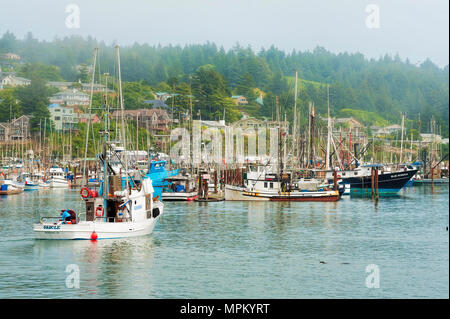 Newport, Oregon, USA - 23. August 2016: Kapitän der Fischerboot führt sein Handwerk in Newports Hafen an der Küste von Oregon. Sein Kumpel ist besetzt verstauen. Stockfoto
