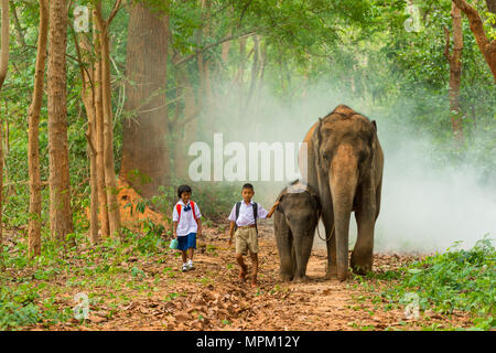 Surin, Thailand - 25. Juni 2016: Junge und Mädchen Schüler in Uniform zu Fuß zusammen mit Elefant mit ihr Kalb auf Gehweg in Wald in Surin, Thailand Stockfoto