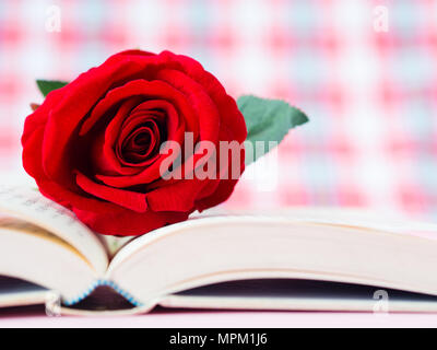 Rote Rose auf offenes Buch. Liebe und Valentinstag Konzept. Stockfoto