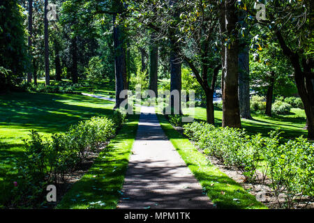 Friedliche Weg durch bewaldeten Park Stockfoto