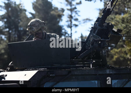 Ein uns-Armee-Fallschirmjäger von Delta Company, 1-503rd 173rd Airborne Brigade trinkt Wasser während der Alliierten Geist VI in Hohenfels, Deutschland, 27. März 2017. (Foto: U.S. Army Spc. Taylor Hoganson) Stockfoto