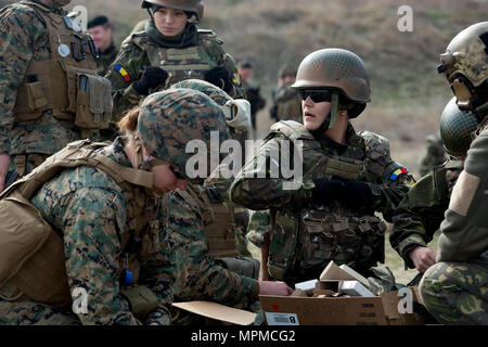 CAPU TONTRÄGER, Rumänien (20. März 2017) - US- Marines mit dem 24 Marine Expeditionary Unit (MEU), Weibliche Engagement Team und Rumänisch service Mitglieder laden sie ihre Waffen auf Capu Tonträger Trainingsgelände, Rumänien, während der Übung Frühling Sturm 2017, März 20. Die 24. MEU nahmen an der rumänisch-led bilaterale maritime Ausbildung Evolution. Die 24. MEU ist mit dem Bataan amphibischen Bereitschaft Gruppe implementiert Maritime Security Operations und Theater Sicherheit Zusammenarbeit in den USA im 5. und 6. US-Flotte Bereiche des Betriebes zu unterstützen. (U.S. Marine Corps Foto von Lance Cpl. Melanye Martine Stockfoto