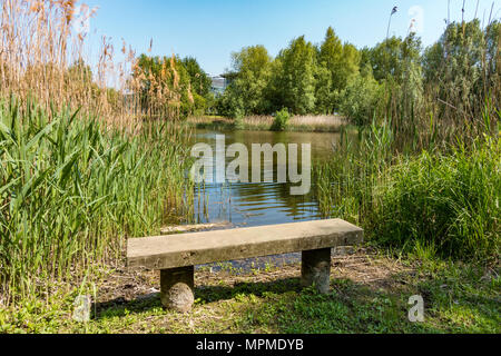 Eine Bank in einem ruhigen und abgeschiedenen Ort neben dem lakek in Reading, Großbritannien. Stockfoto