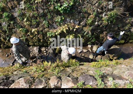 SASEBO, Japan (30. März 2017) Tsunemasa Fujisawa, Marine Engineering Befehl Fernost zugewiesen, führt Chief Utilitiesman Georgios Georgiadis, Naval Mobile Konstruktion Bataillon 5 zugewiesen, und Leutnant Liwei Chen, zu NAVFAC Fernost zugewiesen, durch einen Entwässerungsgraben, Grabsteine, die von der Umgebung auf Hario Shima Ordnance Facility onboard KFBS am 30. März 2017 fiel erholen. Die Grabsteine wurden zurückgewonnen und in einer stabilen Position zurücksetzen. (U.S. Marine Foto von Mass Communication Specialist Seaman Geoffrey S. Barham/Freigegeben) Stockfoto