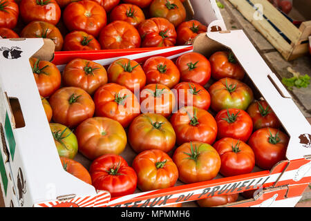 Boxen von Beefsteak Tomaten auf den Verkauf in einem offenen Markt in Korsika Stockfoto