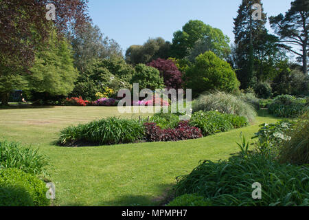 Blick auf die bunt blühende Rhododendren und Azaleen bei Exbury Gardens in Hampshire, Großbritannien, im Mai Stockfoto