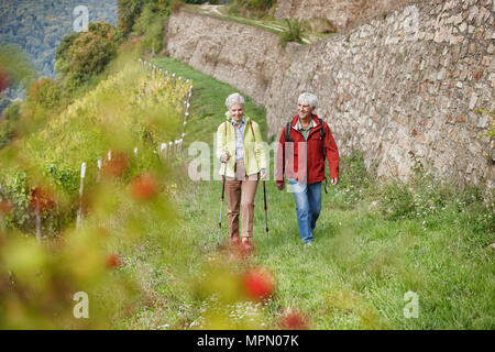 Deutschland, Rheingau, gerne älteres Paar zusammen wandern Stockfoto