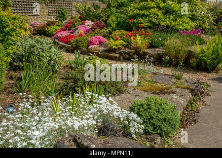 Eine spring flower bed. Farbe der Federn, wo Azaleen, Lavendel, Farne und bunte Blätter Farbe im Garten. Stockfoto