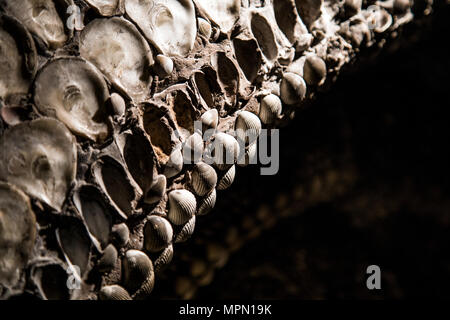 Shell Grotte in der Küstenstadt Ramsgate, Großbritannien Stockfoto