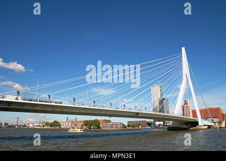 Erasmusbrücke in Rotterdam Stockfoto