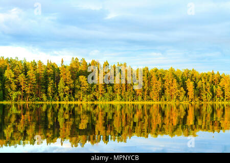 Beleuchteten Bäume und die Sonne in einem See widerspiegeln, Sommer Landschaft Stockfoto