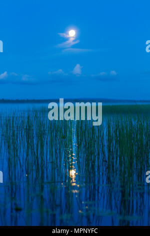 Vollmond und Mondfinsternis Track auf der Nacht See, Sommer Landschaft Stockfoto