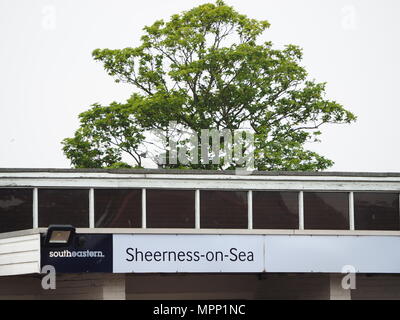 Sheerness, Kent, Großbritannien. 24. Mai 2018. Diebe stahlen Signalkabel über Nacht aus dem Zug der Linie läuft zwischen Sheerness und in Sittingbourne Kent. Ersatz Busse in Betrieb sind, bis das Problem behoben werden kann. Credit: James Bell/Alamy leben Nachrichten Stockfoto