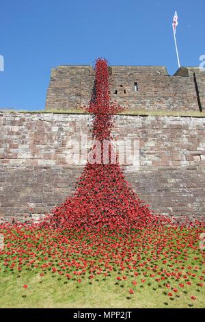 Carlisle Castle Carlisle Cumbria, Großbritannien. 23., Mai, 2018. Weinende Fenster von keramischen Mohnblumen kunst Installation an der Carlisle Castle. Das Projekt wird im Gedenken an den Ersten Weltkrieg und wird durch Künstler Paul Cummins und Designer Tom Piper. Teil von Blut fegte Länder und Meere der Roten Installation. Credit: Andrew Findlay/Alamy leben Nachrichten Stockfoto