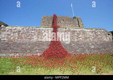 Carlisle Castle Carlisle Cumbria, Großbritannien. 23., Mai, 2018. Weinende Fenster von keramischen Mohnblumen kunst Installation an der Carlisle Castle. Das Projekt wird im Gedenken an den Ersten Weltkrieg und wird durch Künstler Paul Cummins und Designer Tom Piper. Teil von Blut fegte Länder und Meere der Roten Installation. Credit: Andrew Findlay/Alamy leben Nachrichten Stockfoto