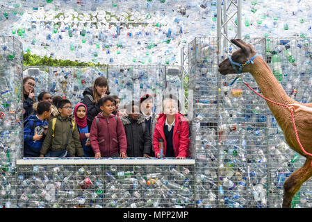 London, Großbritannien. 24. Mai 2018. Kinder aus Camden Netley Grundschule, sah von Andy das Lama, bei der Enthüllung einer Kunst installation namens "Tempo" von Architekt Nick Holz, im ZSL London Zoo. Das Kunstwerk besteht aus einem Gebäude aus 15.000 verworfen Einwegflaschen aus London und seine Wasserstraßen gesammelt und ist Teil des Zsl's# OneLess Kampagne, mit dem Ziel, den Ozeanen der Welt durch Förderung von Menschen mit Single Stop - mit Plastikflaschen zu schützen. Credit: Stephen Chung/Alamy leben Nachrichten Stockfoto