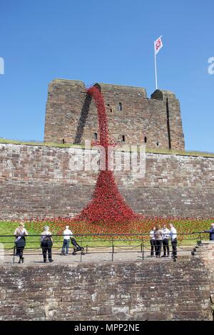 Carlisle Castle Carlisle Cumbria, Großbritannien. 23., Mai, 2018. Weinende Fenster von keramischen Mohnblumen kunst Installation an der Carlisle Castle. Das Projekt wird im Gedenken an den Ersten Weltkrieg und wird durch Künstler Paul Cummins und Designer Tom Piper. Teil von Blut fegte Länder und Meere der Roten Installation. Credit: Andrew Findlay/Alamy leben Nachrichten Stockfoto