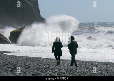 Vík í Mýrdal Strand; Reynisfjara Strand hat schwarze Kieselsteine, Basaltsäulen und die Reynisdrangar Offshore-Felsformationen. Ein abgelegenes Dorf am Meer mit rauer See, brechenden Wellen und starken Winden. Stockfoto