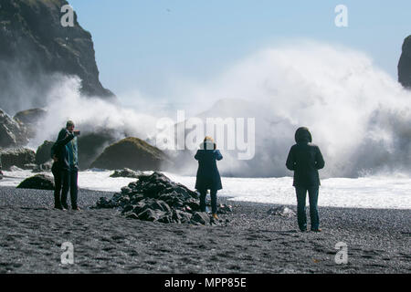 Vík í Mýrdal Strand; Reynisfjara Strand hat schwarze Kieselsteine, Basaltsäulen und die Reynisdrangar Offshore-Felsformationen. Ein abgelegenes Dorf am Meer mit rauer See, brechenden Wellen und starken Winden. Stockfoto