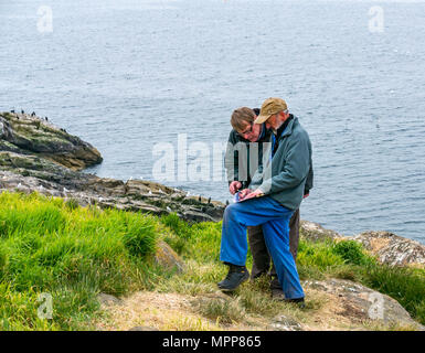 Puffin burrow zählen, Craigleith Insel, 24. Mai 2018. Firth-of-Forth, Schottland, Großbritannien. Das 5. jährliche Erhebung der Papageitaucher Burrows fand auf der Insel. Puffin Zahlen sind rückläufig. Der Scottish Seabird Centre, North Berwick, spielt eine wichtige Rolle in einem nationalen zählen. Die ganze Insel ist systematisch angebunden und durch eine Linie von Mitarbeitern und Freiwilligen zählen Burrows gefegt. Monitor Seiten sind verdübelt und Burrows beobachtet, um herauszufinden, wie viele verwendet werden; die Daten werden hochgerechnet Insgesamt für die gesamte Insel zu geben. Zwei Männer, die über den Plan für die papageientaucher Umfrage auf der Insel verleihen Stockfoto