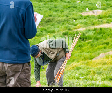 Puffin burrow zählen, Craigleith Insel, 24. Mai 2018. Firth-of-Forth, Schottland, Großbritannien. Das 5. jährliche Erhebung der Papageitaucher Burrows fand auf der Insel. Puffin Zahlen sind rückläufig. Der Scottish Seabird Centre, North Berwick, spielt eine wichtige Rolle in einem nationalen zählen. Die ganze Insel ist systematisch angebunden und durch eine Linie von Mitarbeitern und Freiwilligen zählen Burrows gefegt. Monitor Seiten sind verdübelt und Burrows beobachtet, um herauszufinden, wie viele verwendet werden; die Daten werden hochgerechnet Insgesamt für die gesamte Insel zu geben. Zählen ein papageientaucher Graben. Stockfoto