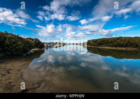 Reflexionen von Wolken und mangroce Wald in der Themsemündung Stockfoto