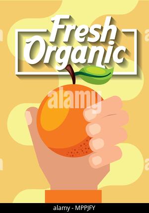 Hand mit frischem Obst orange Vector Illustration Stock Vektor