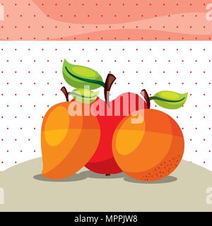 Früchte frische organische Gesunde orange Mango apple Vector Illustration Stock Vektor
