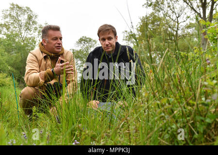 Die TV-Moderatorin und Naturforscher Chris Packham (links) und "Butterfly Conservation Kopf von England Regionen Dan Hoare nach dem Loslassen chequered skipper Schmetterlinge in Rockingham Wald, Northamptonshire, England wieder eingeführt werden, als Teil der vom Rand Projekt, nach der Spezies 1976 verschwunden. Stockfoto
