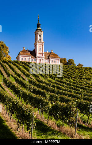 Deutschland, Baden-Württemberg, Bodenseekreis, Basilika Birnau und Weinberg Stockfoto