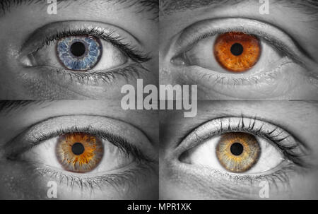 Collage aus 4 verschiedenfarbigen Augen, makroaufnahme Stockfoto