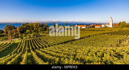 Deutschland, Baden-Württemberg, Hagnau, Bodensee, Kirche und Weinberg Stockfoto