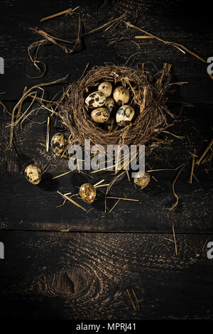 Wachteleier im Bird's Nest auf dunklem Holz Stockfoto