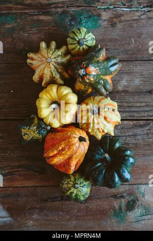 Verschiedene dekorative Kürbisse auf Holz Stockfoto