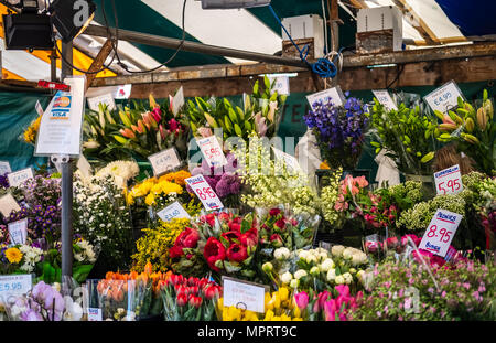 Große, farbenfrohe Auswahl verschiedener Pflanzen und Blumen für den Verkauf innerhalb einer Blume gesehen in einem offenen Markt. Stockfoto