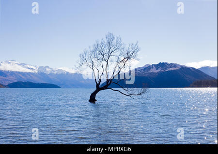 Bilder von Neuseeland, sowohl im Norden als auch im Süden der Insel. Stockfoto