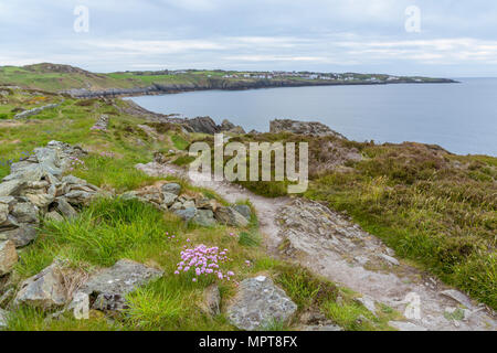 UK, Amlwch, Anglesey. Mai 2018 20: Ein Blick von der Anglesey Coastal Path in Holyhead an der Küste von Nordwales. Stockfoto