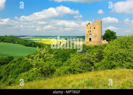 Landschaft mit Ruine der Burg Arnstein, Mansfeld-South Sylda-Harkerode, Harz, Sachsen-Anhalt, Deutschland Stockfoto