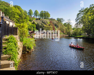 Rudern auf dem Fluss Nidd im Frühjahr auf Knaresborough North Yorkshire England Stockfoto