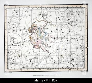 Die Konstellationen (Platte XV) Zwillinge, von einem himmlischen Atlas von Edouard Manet, 1822. Stockfoto