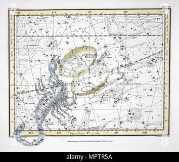 Die Konstellationen (Platte XIX) Waage und Skorpion, 1822. Stockfoto