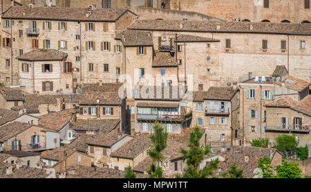 Panoramischer Anblick in Urbino, Stadt und Weltkulturerbe in der Region Marken in Italien. Stockfoto