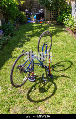 Fahrrad Wartung und Reparatur zu Hause auf dem hinteren Garten (Hinterhof) Rasen Stockfoto