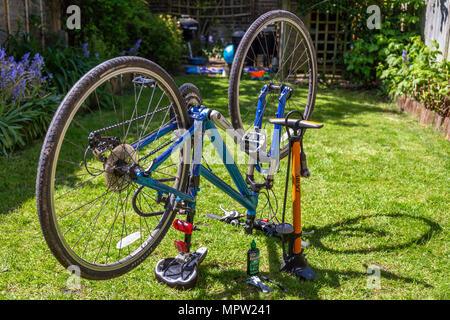 Fahrrad Wartung und Reparatur zu Hause auf dem hinteren Garten (Hinterhof) Rasen Stockfoto