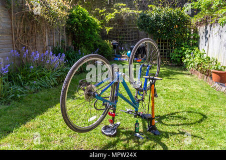 Fahrrad Wartung und Reparatur zu Hause auf dem hinteren Garten (Hinterhof) Rasen Stockfoto