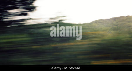 Defokussierten Bäume durch ein Auto Windschutzscheibe gesehen. Getönten filter Foto. Verschwommen Aktion aus dem Auto mit hoher Geschwindigkeit. Vage Blick durch fahrendes Auto Fenster. Ring Stockfoto