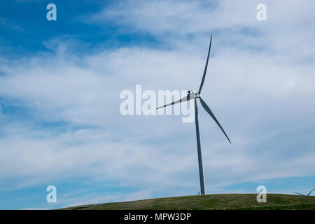 Single Wind Turbine, Teil des Blackspring Ridge Windprojekts von EDF EN Canada Inc. Und Enbridge Inc. Im Südosten Albertas, das aus 166 V besteht Stockfoto