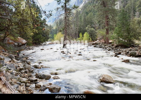 Merced River fließt, Yosemite National Park, Kalifornien Stockfoto