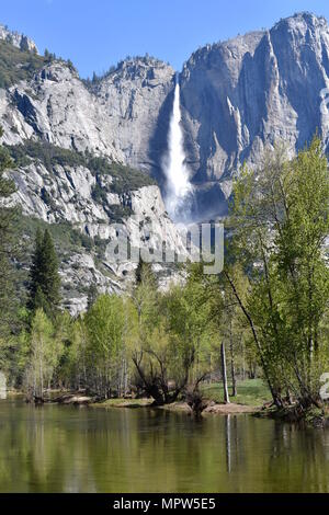 Yosemite Falls über Merced River gesehen, Yosemite National Park, Kalifornien Stockfoto